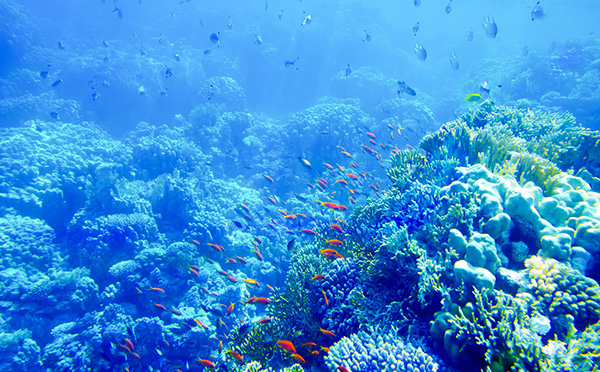 海洋開(kāi)發(fā)的重要性及意義 海洋開(kāi)發(fā)的重要性及意義