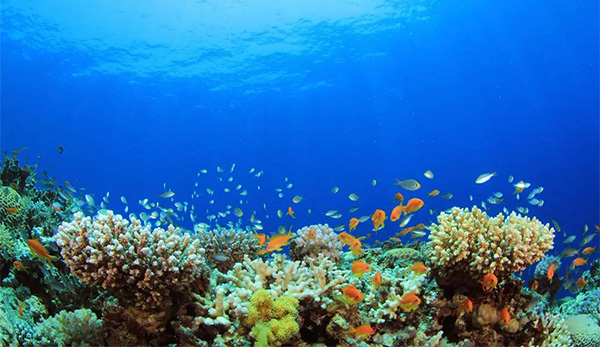 海洋開(kāi)發(fā)的重要性及意義 海洋開(kāi)發(fā)的重要性及意義